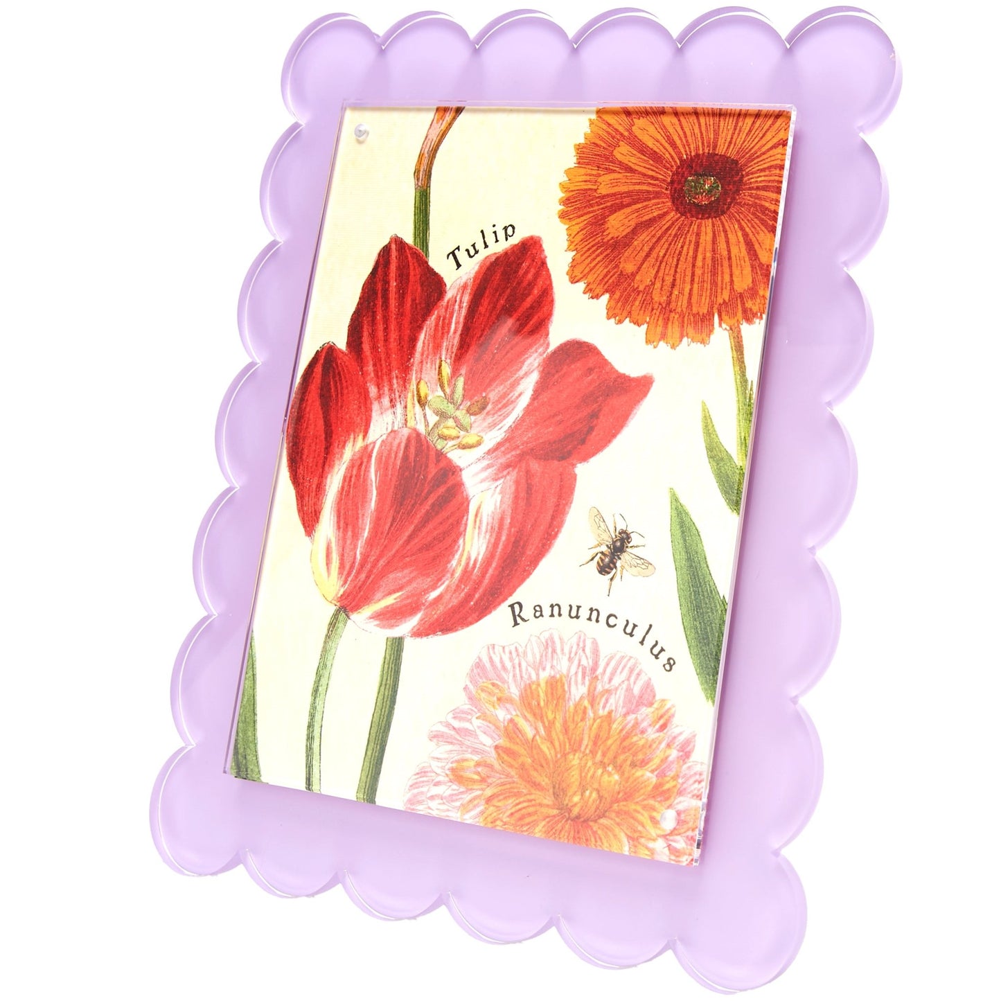 Lavender Acrylic 8" x 10" Scallop Frame - Tara Wilson Designs