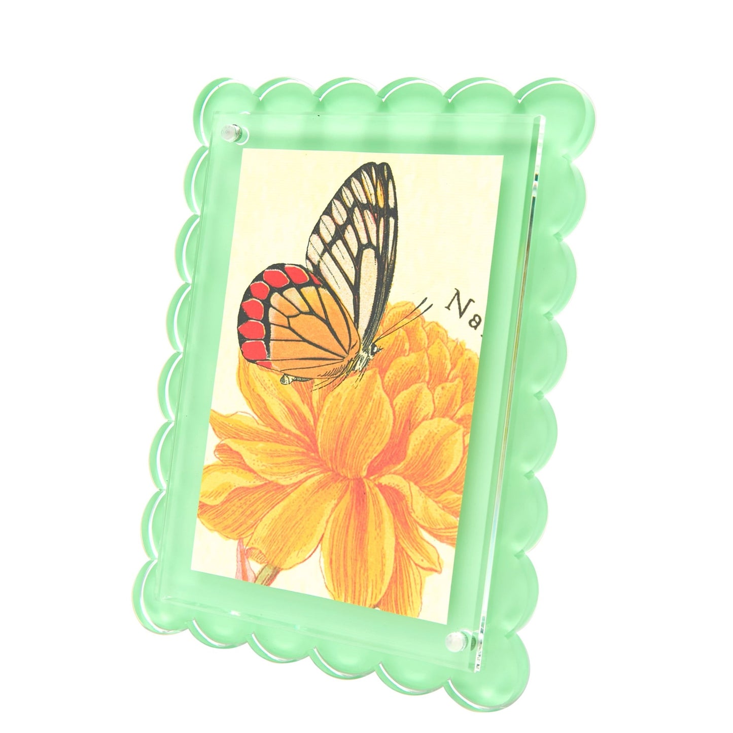 Pastel Green Acrylic Scallop Frame - Tara Wilson Designs