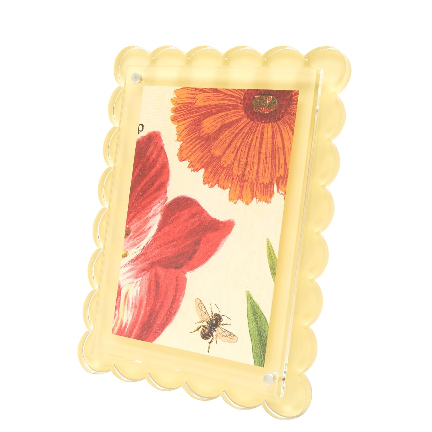 Pastel Yellow Acrylic Scallop Frame - Tara Wilson Designs