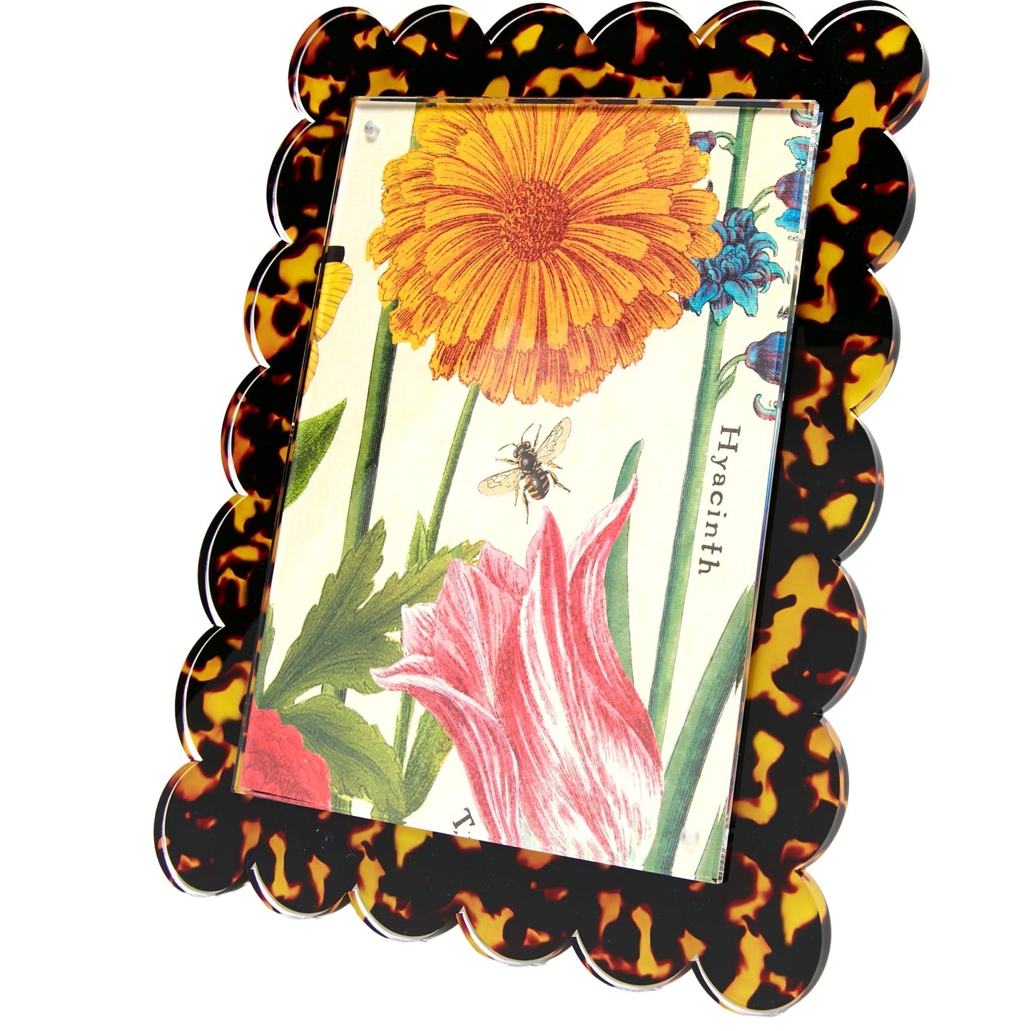 Tortoise Acrylic 8" x 10" Scallop Frame - Tara Wilson Designs