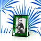 Emerald Acrylic Retro Frame