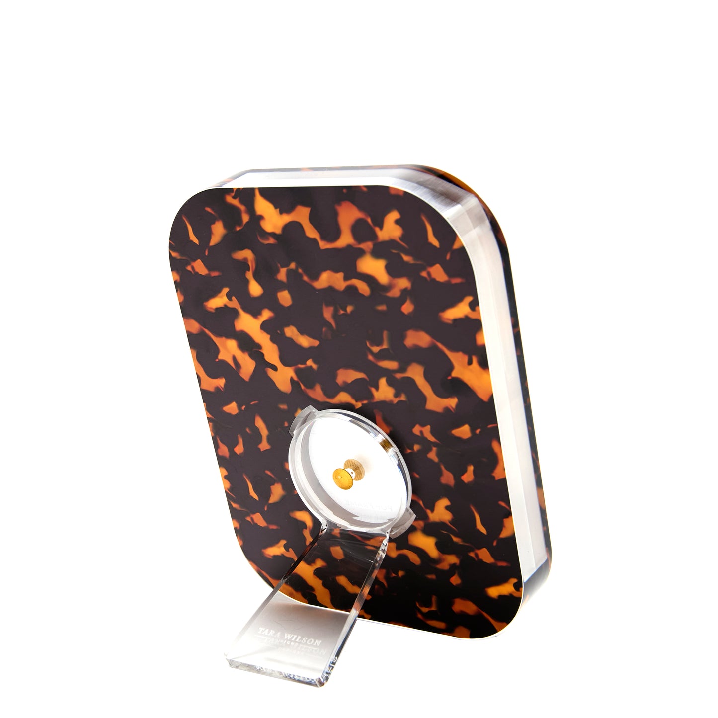 4 x 6 POP FRAME - TORTOISE