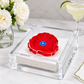 Poppy acrylic cocktail napkin holder styled with white flowers and margarita