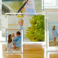 Clear Acrylic 5" x 7" Beveled Frame - Tara Wilson Designs
