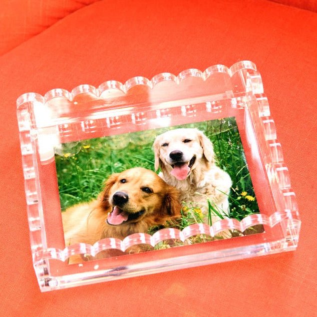 Clear Acrylic Scallop Photo tray - Tara Wilson Designs