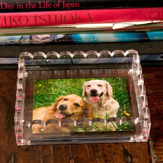 Clear Acrylic Scallop Photo tray - Tara Wilson Designs