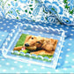 Clear Acrylic Scallop Photo tray - Tara Wilson Designs
