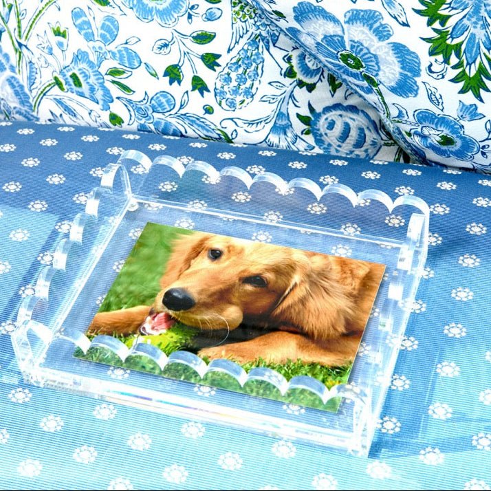 Clear Acrylic Scallop Photo tray - Tara Wilson Designs