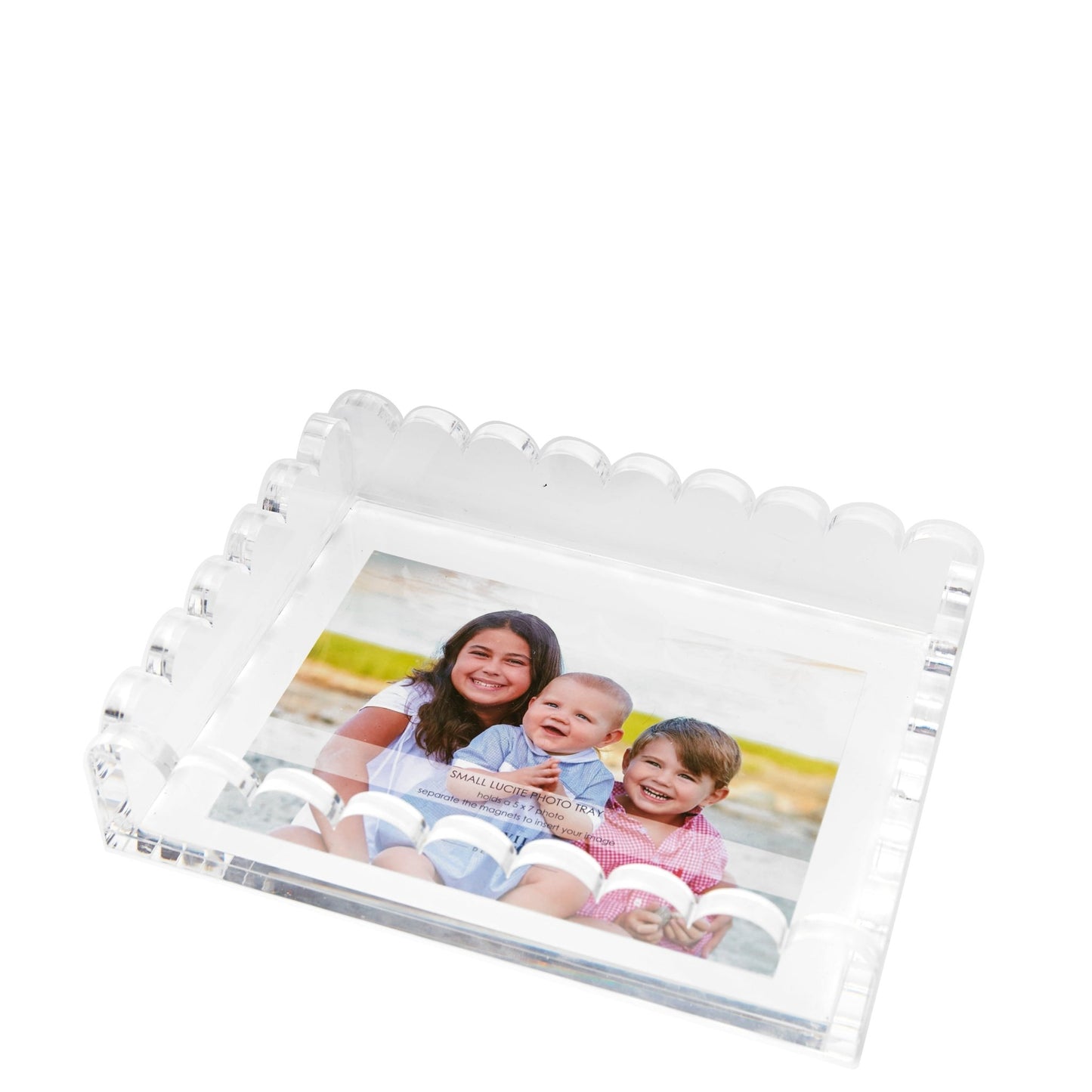 Clear Acrylic Scallop Photo tray - Tara Wilson Designs