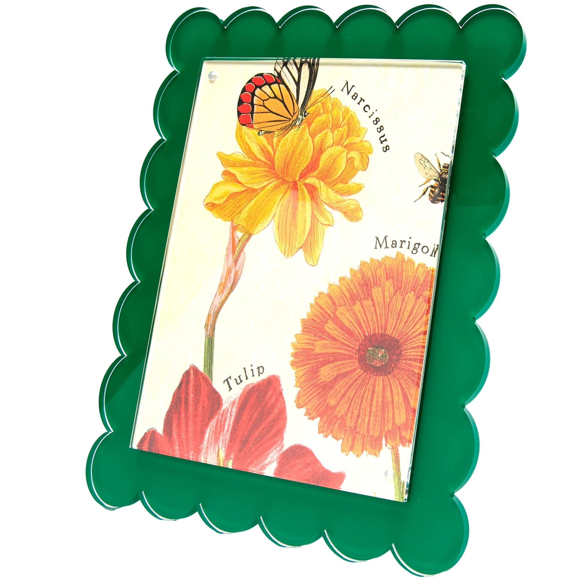 Green Acrylic 8" x 10" Scallop Frame - Tara Wilson Designs