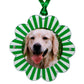 Green & White Acrylic Double - Sided Daisy Ornament - Tara Wilson Designs