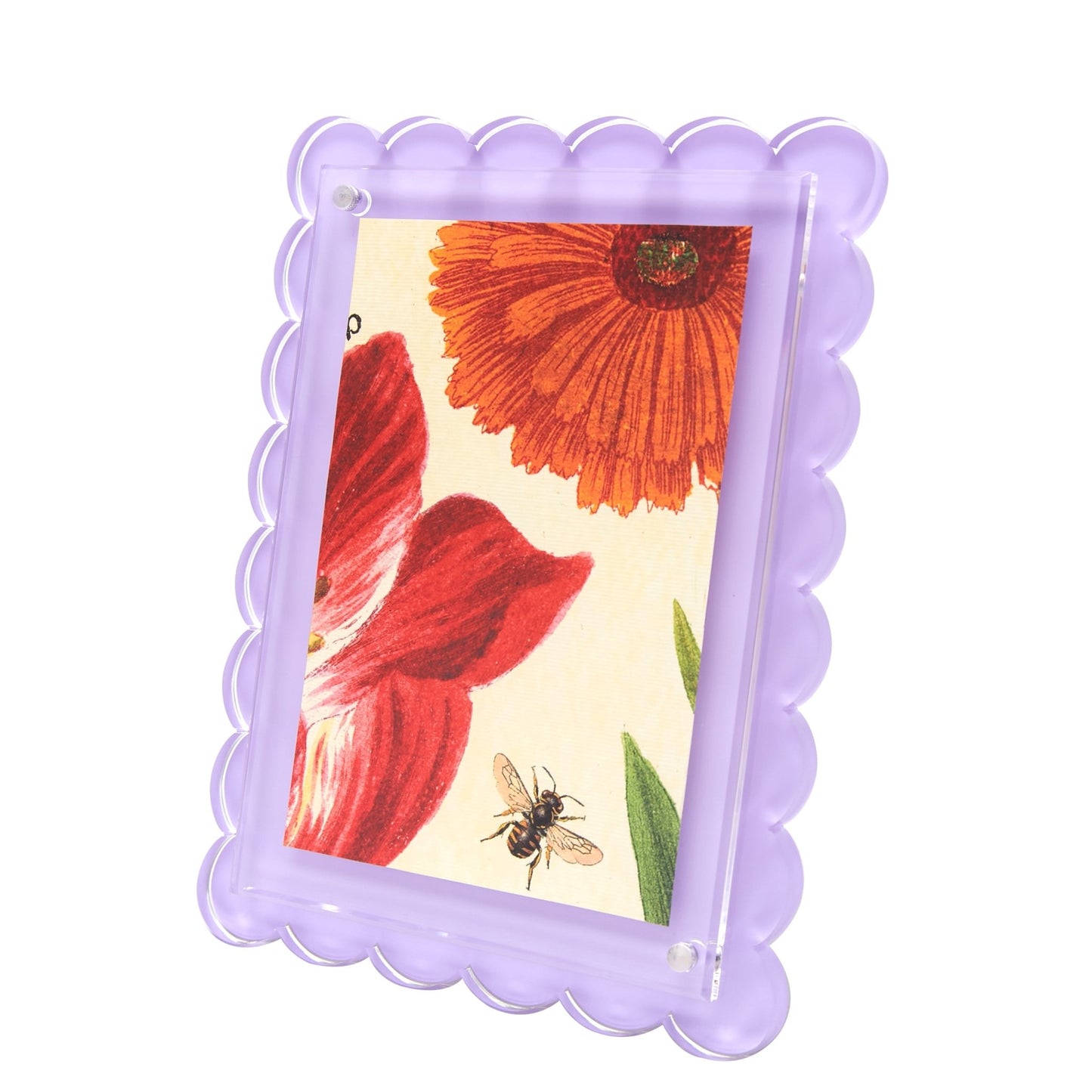 Lavender Acrylic Scallop Frame - Tara Wilson Designs