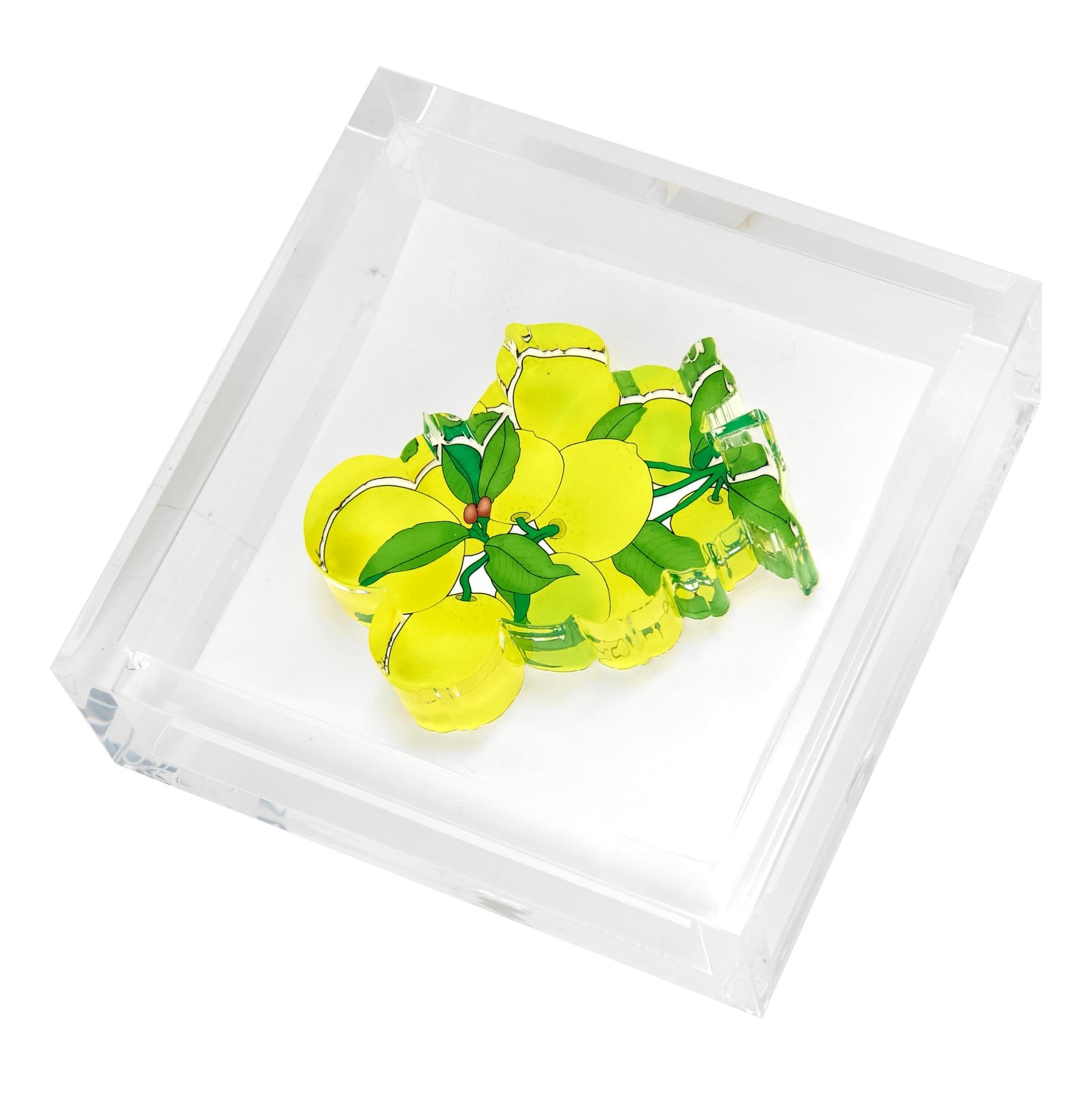Lemons Acrylic Cocktail Napkin Holder - Tara Wilson Designs