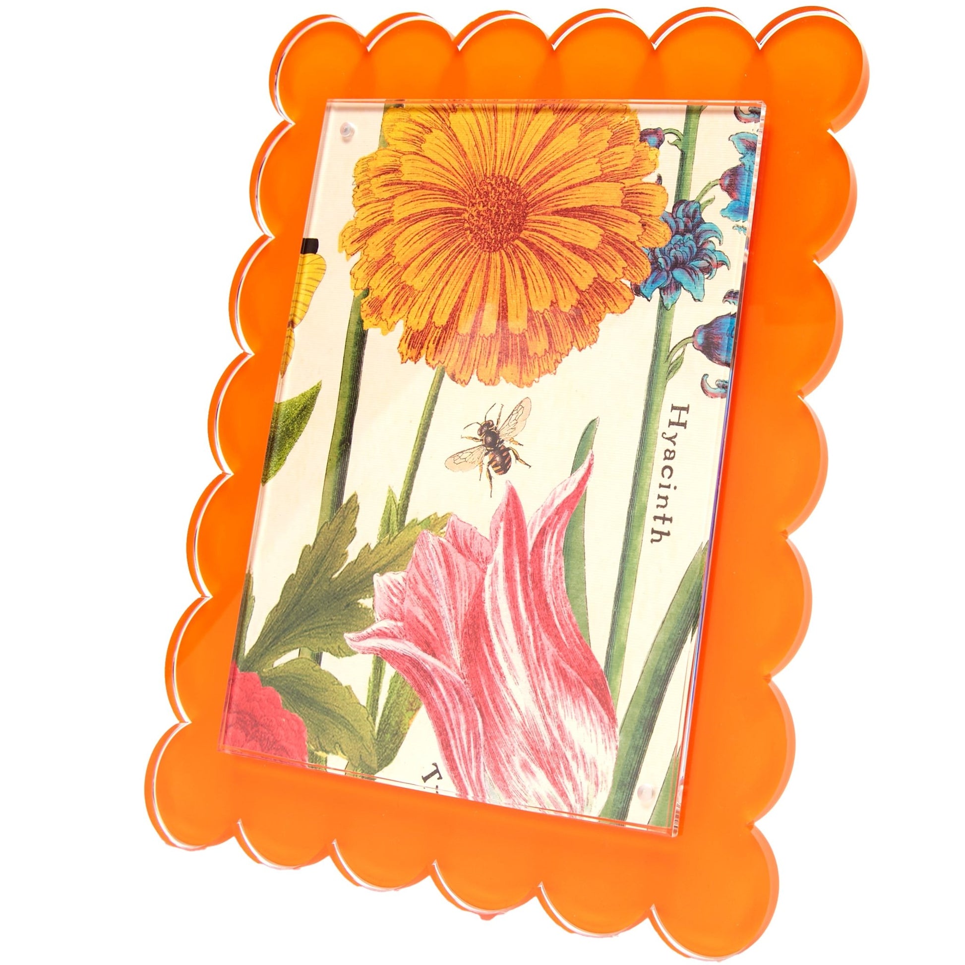 Orange Acrylic 8" x 10" Scallop Frame - Tara Wilson Designs