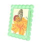 Pastel Green Acrylic Scallop Frame - Tara Wilson Designs