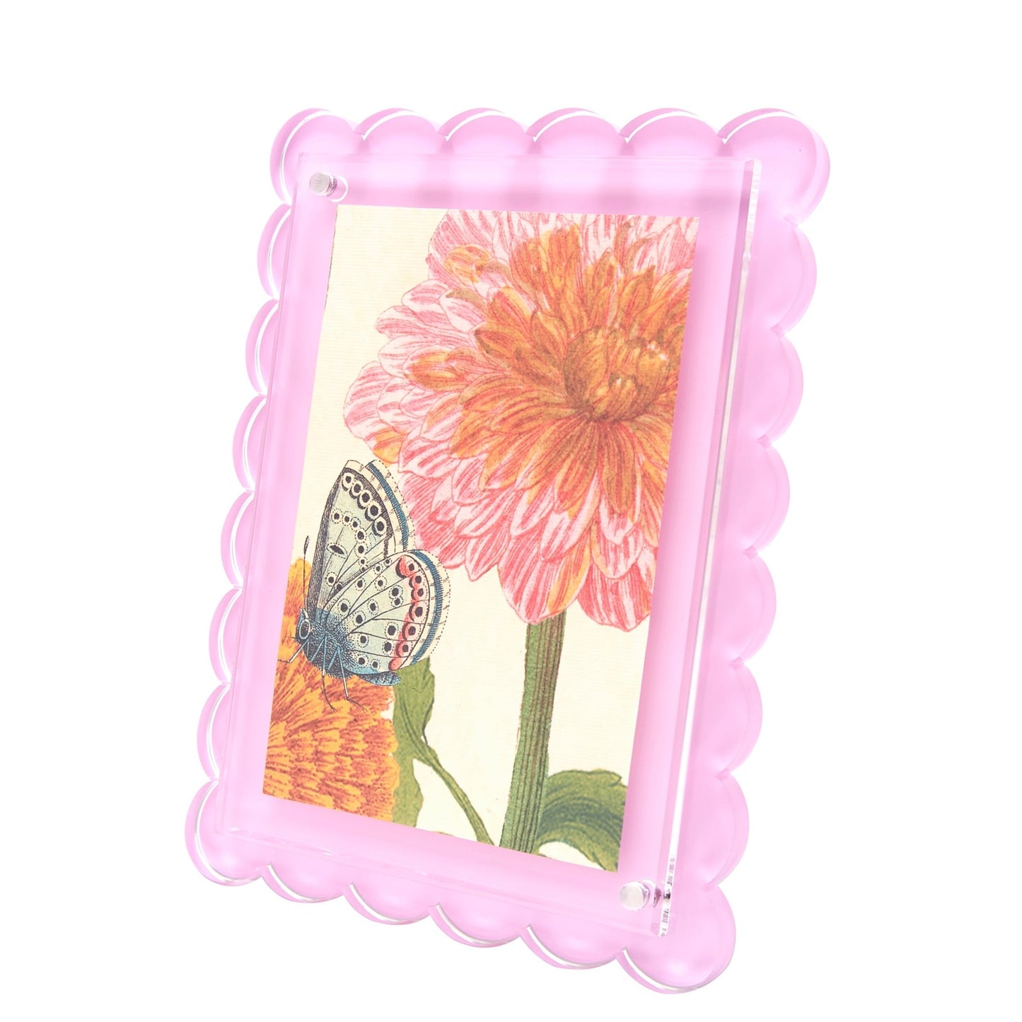 Pastel Pink Acrylic Scallop Frame - Tara Wilson Designs