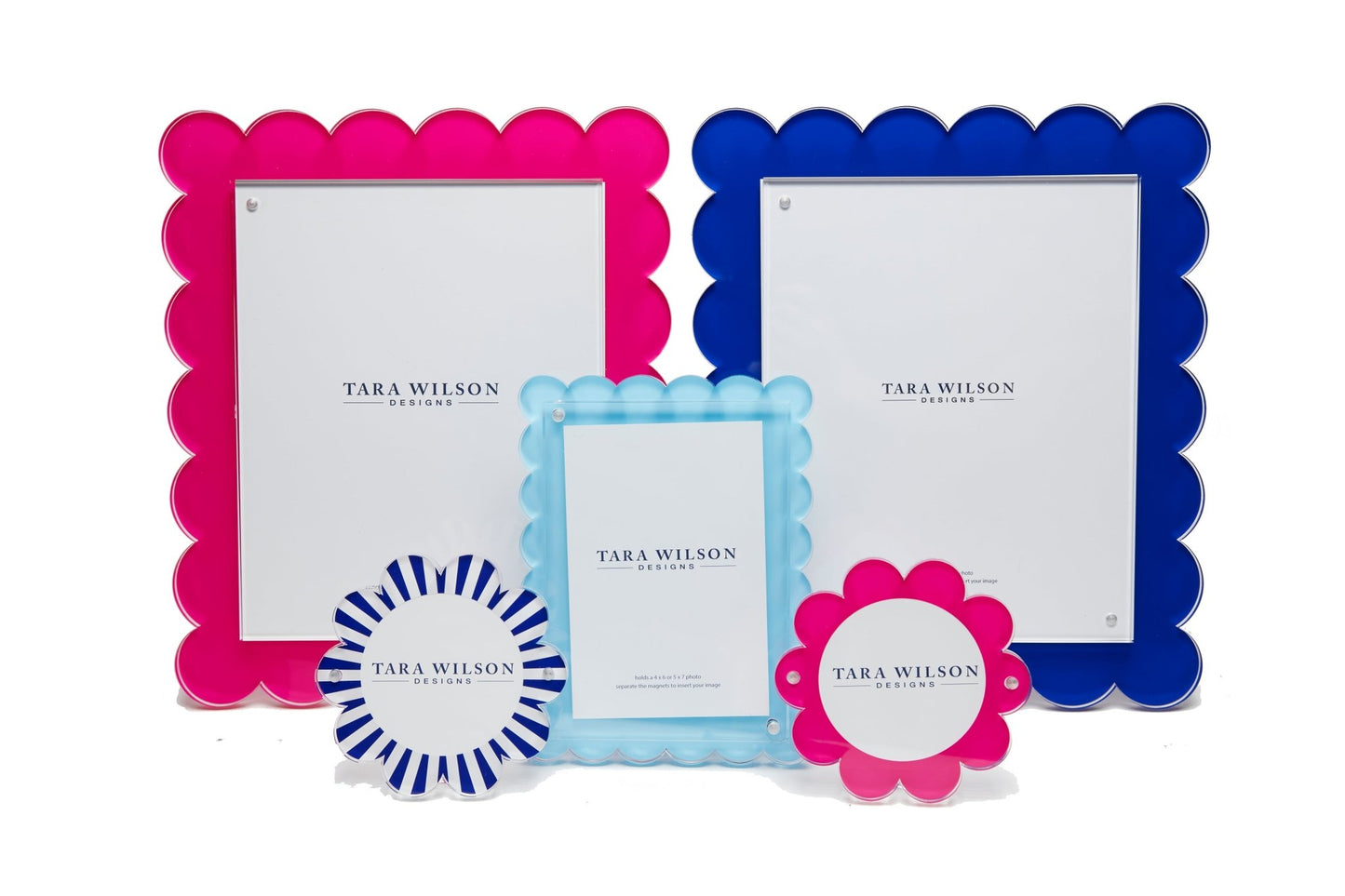 Pink Acrylic Daisy Frame - Tara Wilson Designs