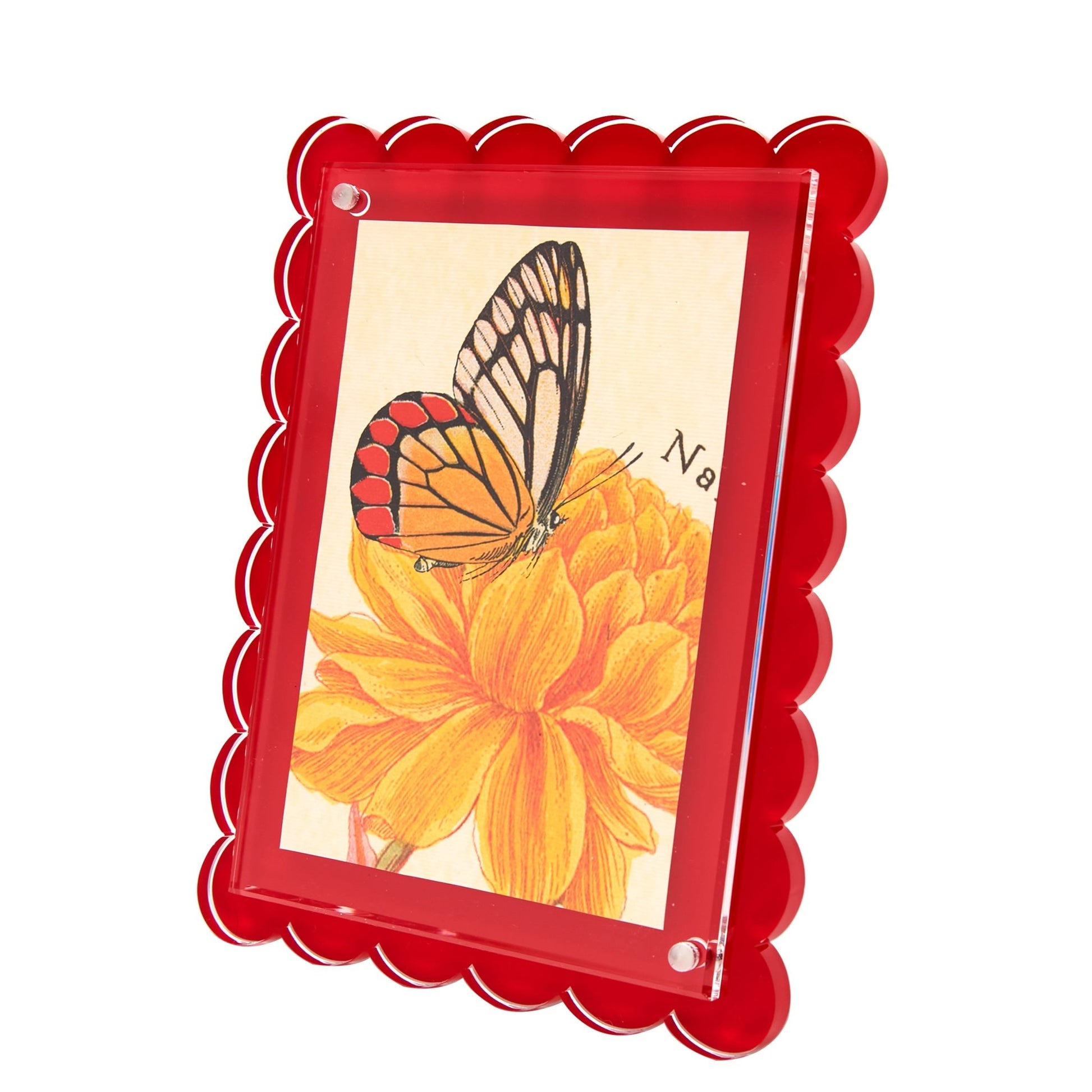 Red Acrylic Scallop Frame - Tara Wilson Designs