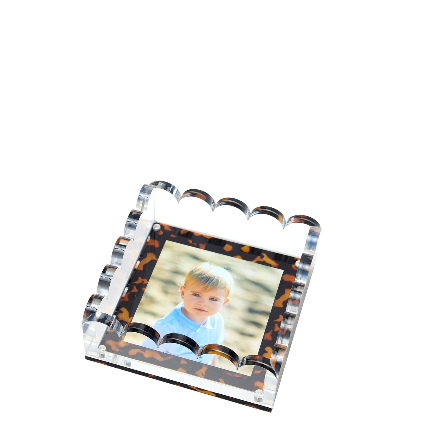Tortoise Acrylic Small Scallop Photo Tray - Tara Wilson Designs