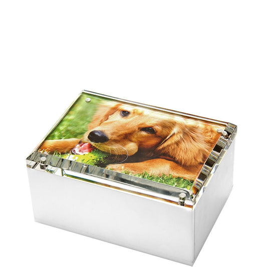 White Acrylic 5" x 7" Photo Box - Tara Wilson Designs