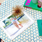 Clear Acrylic 13" x 16" Photo Tray with White Mat - Tara Wilson Designs