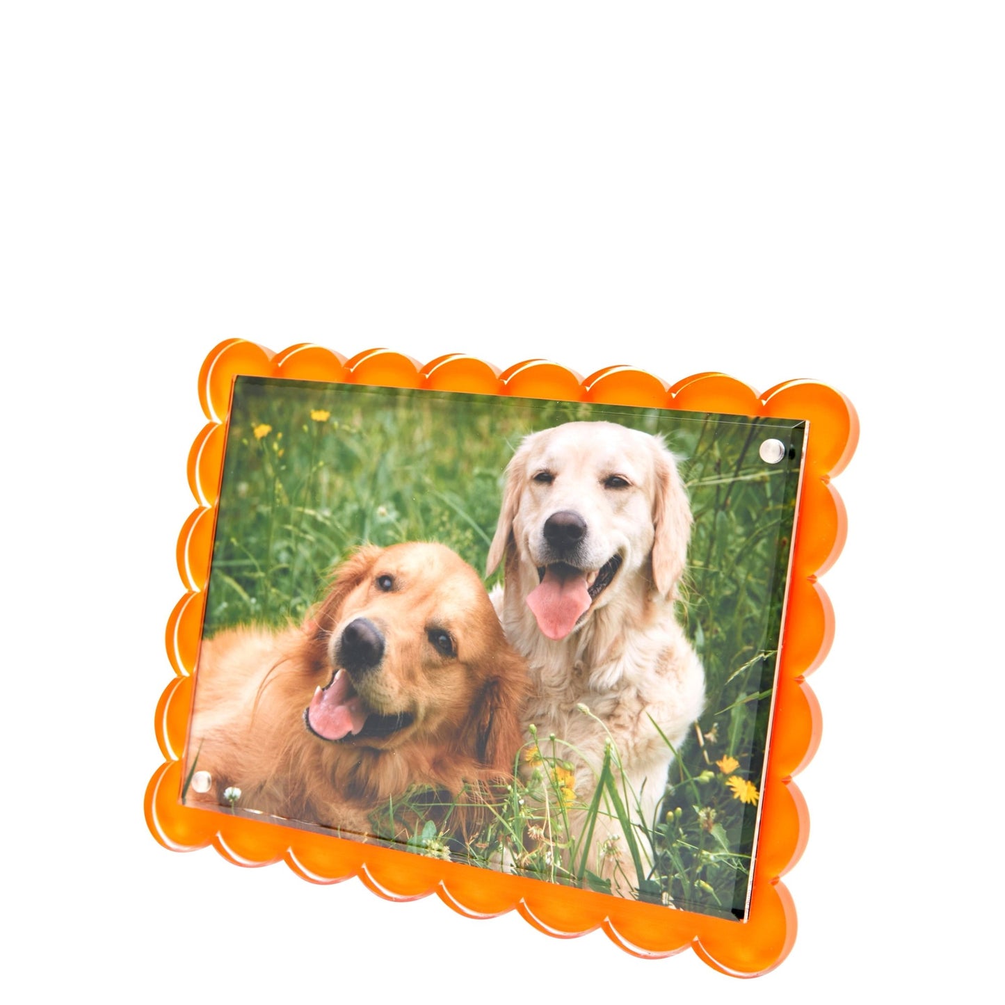 Orange Acrylic Scallop Frame - Tara Wilson Designs