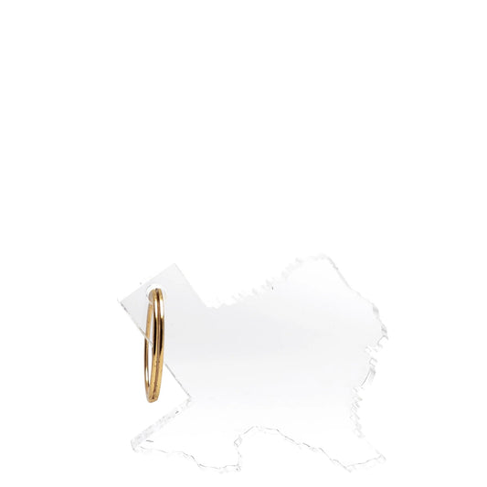 Texas Acrylic Keychain - Tara Wilson Designs
