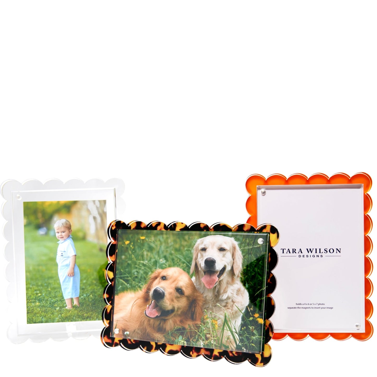 Tortoise Acrylic Scallop Frame - Tara Wilson Designs
