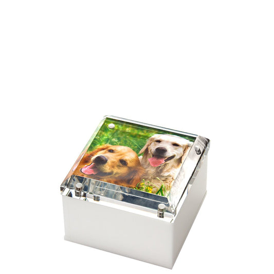 White Acrylic 4" x 4" Photo Box - Tara Wilson Designs